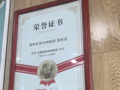 -谐和益家动物医院·免疫绝育·血液透析·宠保定点医院(高新伊藤分院)