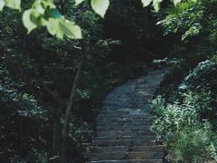 -黑龙潭风景区