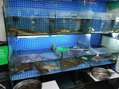 水产区-小本鸡饭店(滨江白马湖店)