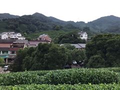 -龙井村