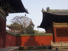 -报恩寺(平武县)