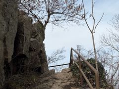 -紫金山山顶公园