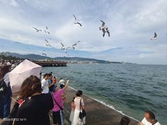 -幸福门