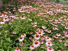 -廊坊文化艺术中心