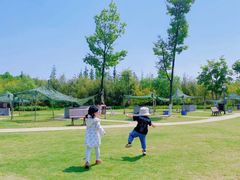 -上海长兴岛郊野公园