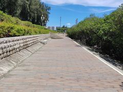 -宝安西湾红树林湿地公园