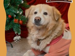 -佛山京华广场MALL