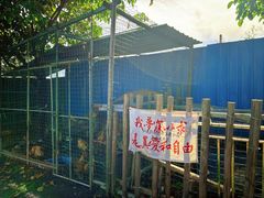 -粮心小农·大头虾亲子生态园(长发店)