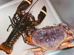 龙虾-盒马鲜生(悦峰店)