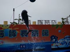 -秦皇岛新澳海底世界