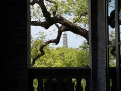 -江心屿景区