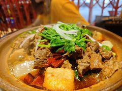 -沙胆彪炭炉牛杂煲(成都玉林店)