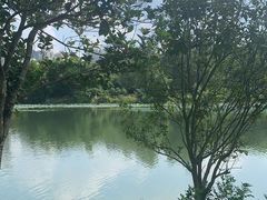 -广西壮族自治区药用植物园