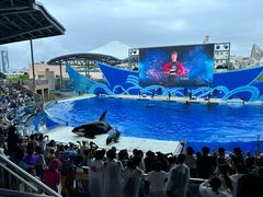 -上海海昌海洋公园