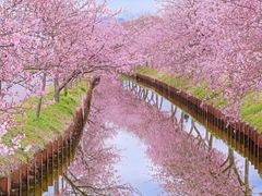 -苏州上方山国家森林公园
