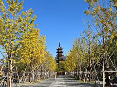 -龙华素斋(龙华路店)