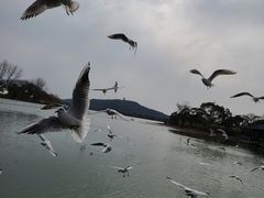 -渤公岛生态公园