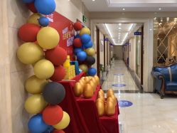 -碧莲盛·不剃发植发