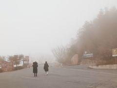 -江南天池