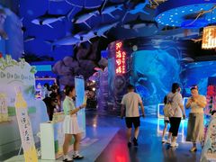 -烟台海昌鲸鲨海洋公园