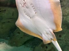 -珠海长隆海洋王国