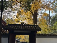 -成都武侯祠博物馆