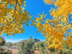 -永定河休闲森林公园
