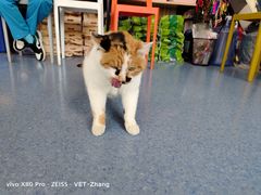 -佑安动物医院·全科·内窥镜中心(幸福巷店)