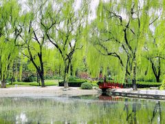 -玲珑塔公园