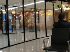 -谢列梅捷沃国际机场