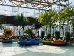 -南宫五洲植物乐园