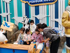 -海合安成都极地海洋公园