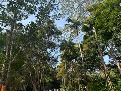 -中国科学院西双版纳热带植物园