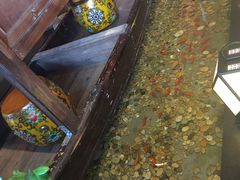 -颐和•海鲜砂锅粥•啫啫煲(奥林匹克广场店)