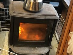 -宫城藏王狐狸村