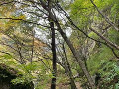 -青峰峡国家森林公园