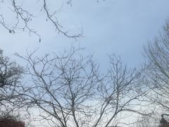 -民园广场