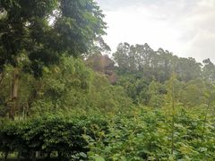 -火炉山森林公园