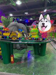 -菲菲羊乐园(临平银泰城店)