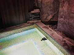 -海口观澜湖火山温泉谷