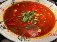 -陈麻婆豆腐(旗舰店)