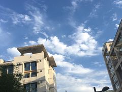 -西安外国语大学-学生食堂(栾树大道店)