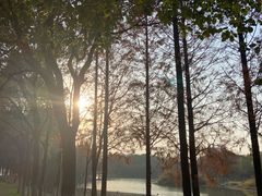 -艾溪湖湿地公园