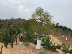 -东莞植物园
