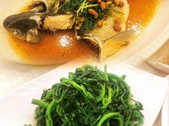 香葱淋鲈鱼-粤·向群饭店(龙津东路总店)