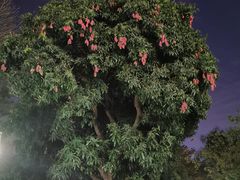 -南海迎宾馆·经典南海菜