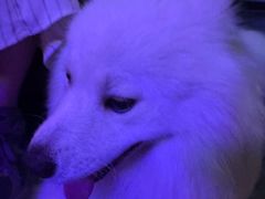 -剧狐剧本杀(徐汇1号店)