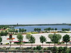 -武清南湖绿博园