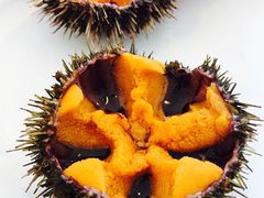 -海胆小馆(东北水饺·春柳店)