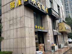 -欣宠猫屋·矮脚拿破仑·蓝金金渐层